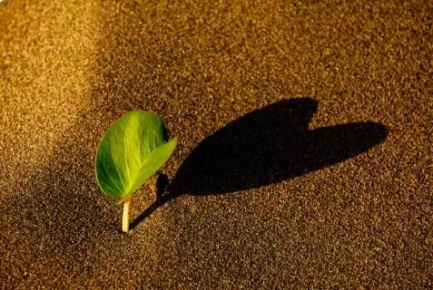 不忘初心,方得始终