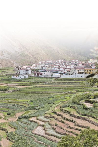 "站在东川区汤丹镇新塘村海拔1000多米的山腰上,顺着东川区林业局工作