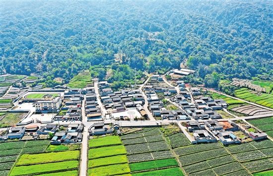 中国新闻网,新华网:春风又绿户撒坝 阿昌人民尽开颜