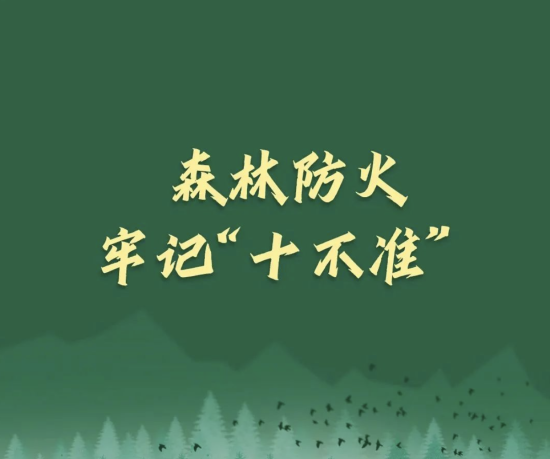 相约上春山，先来看一看 - 中新网|云南