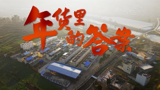 视频丨年货里的答案