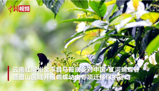 ��������������� ���Ϻ�Ӻ����Ƚ�ӭ��10�����������ֵ