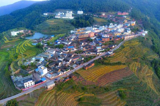 云南双柏县爱尼山乡:药材飘香赋能乡村振兴