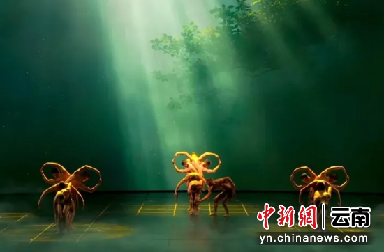 ͼ�����ڽ�Ŀ