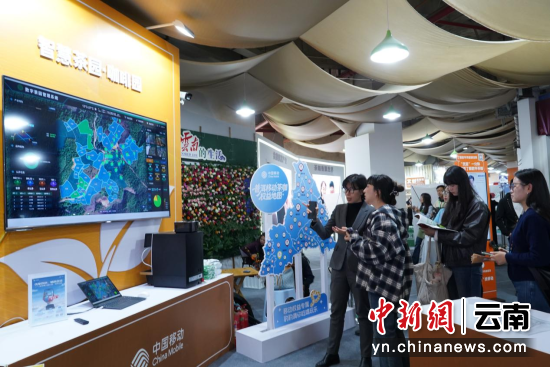 �ǻ۲�԰�Ϳ���԰�ֳ�չ��