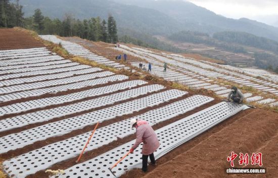 12��27�գ�»Ȱ����¹����ũ����ֲ�ٺϡ������˺� ��