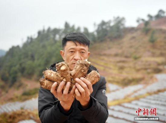 12��27�գ�������չʾ»Ȱ����¹����ĸ�Ʒ�ʵ��顣�����˺� ��