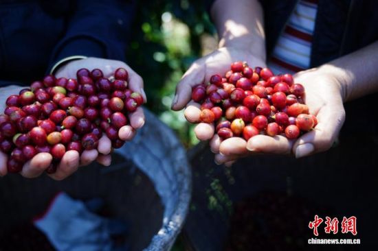 ͼΪ�����ն���ũչʾ��ժ�Ŀ����ʹ������������� ��Ƚ�� ��