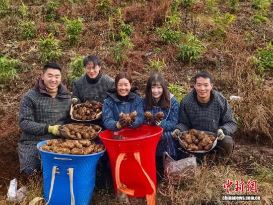 2025��11��20�գ�������С�ݰ���Ĵ���չʾ�ڳ������顣�ܱ� ��