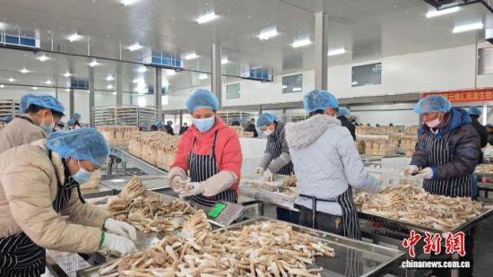 ����2025��11��29�գ����������ϻ���һ����ּ��˹�ʳ�þ����ϻ�����ý������ ��ͼ