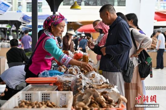 ����2025��8��8�գ������������ϡ��ϻ�����Ұ��������������ѡ���ס����� ��