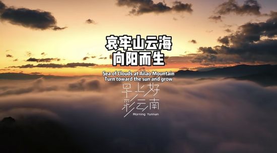 ����ɽ�ƺ� ��������