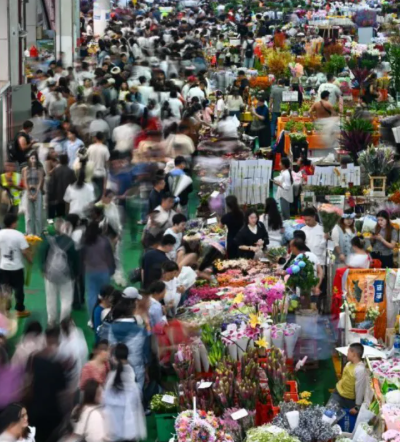 昆明斗南花市游人邂逅“花”样天地