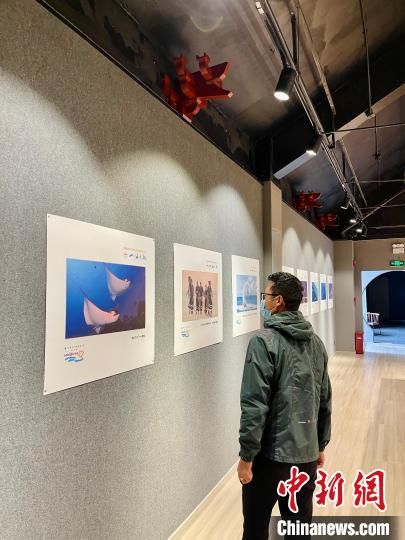 图为“魅力马代·阳光生活”图片展现场。 梁启钰 摄