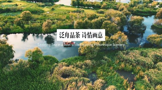 云茶之"雅"|泛舟品茶 诗情画意