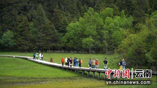 图为媒体记者在香格里拉采访。中新网记者 袁鸿凯 摄