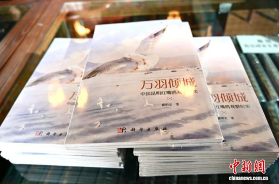 11��11�գ���������ǣ��й���������Ÿ�۲��ʵ�������������׷����������� ��